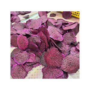 Fruta del Dragón Seca de Vietnam, Calidad Premium, Snack Tropical para Importadores, Distribuidores y Compradores al por Mayor - Product Image 1