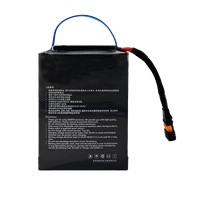 Batería de Iones de Litio Recargable XINGTO Inteligente de Estado Semisólido 12S 36000mah 44.4V 10C de Alta Densidad Energética con BMS para Drones UAV