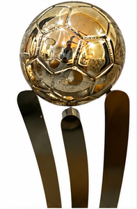 Stainless Steel Sports <b>Trophy</b> <b>Cup</b> Customized Achievement Award Display Durable Premium Quality - Product Image 3
