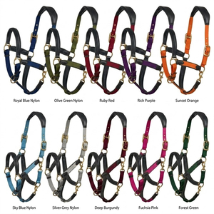 Cabestros para Caballos de 1 Pulgada de Ancho, de Nailon Tejido de Alta Calidad, para Carreras de Resistencia, con Herrajes Metálicos Ajustables - Product Image 5