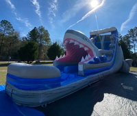 Toboggan aquatique gonflable commercial double en forme de requin avec piscine pour fêtes, certifié CE, garantie 3 ans, capacité 500 personnes