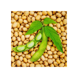 Exportateurs en gros de soja OGM et non-OGM - Product Image 1