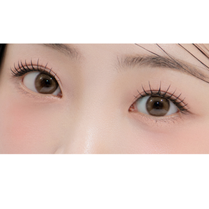FINELENSKOREA BLISS PURE BROWN คอนแทคเลนส์สีน้ำตาลแบบรายเดือน สีน้ำตาลอ่อน สำหรับแต่งหน้า ใช้ได้ทุกวัน แต่งตาให้สวย 0.00~-8.00 ค่าสายตา - Product Image 4
