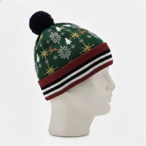 Gorros de Punto de Alta Calidad para Hombre y Mujer, Gorro de Invierno para Playa, Gorros al por Mayor, Jacquard 2026 - Product Image 5