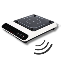 Alat bicara portabel pintar induksi Cooktop Model 1 alat bicara untuk pengguna buta