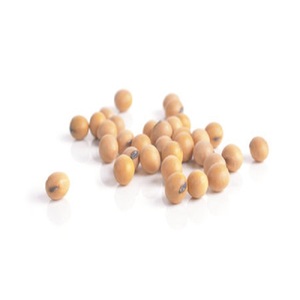 Nuevas nueces de soja - Product Image 5