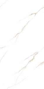 Vente directe d'usine, carreaux de sol en granit 600x1200mm super polis pour salle de banquet. - Product Image 2