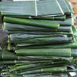 Feuilles de banane fraîches, feuilles de banane vertes naturelles, qualité alimentaire, fournisseur du Vietnam - Product Image 2