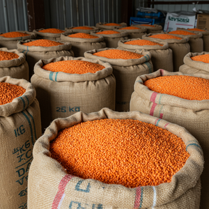 Lentejas Amarillas Partidas de Primera Calidad, Secas, Grado Alimenticio, Ricas en Proteínas, Listas para Exportación, Proveedor de Empaques, Alta Demanda, Venta - Product Image 3