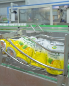 OEM ODM Private Label 330ml Mix Fruit Juice Soft Drinks Fruit &amp; Vegetable Juice Wana Beverage Company Vietnam Manufacturer