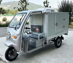 Refrgerated Tricycle Reefer with Cooler Box - Product Image 1