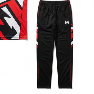 Custom Sublimated T20 Cricket Jersey And Pants Wholesale Breathable Cricket Uniforms Professional Teamwear Sports Apparel - Product Image 2