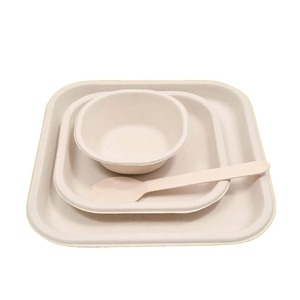 Assiettes jetables rondes de bagasse de 6 pouces de haute qualité pour les mariages prix de gros et de détail en Inde - Product Image 1