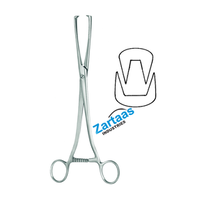Pinzas Quirúrgicas MUSEUX VULSELLUM de Acero Inoxidable de Alta Calidad, Rectas, 9 mm, 26 cm, 2 x 2 Dientes, Fabricante y Exportador de Instrumentos Quirúrgicos - Product Image 3