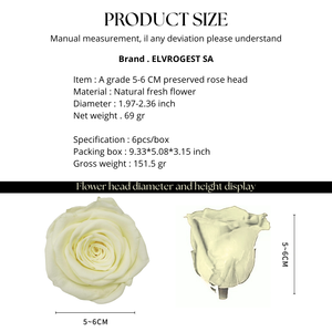 กล่องบรรจุดอกกุหลาบอบแห้ง 6 ดอก สีเบจอ่อน เหมาะสำหรับวันแม่ วันวาเลนไทน์ งานแต่งงาน การจัดช่อดอกไม้ และการตกแต่งอย่างหรูหรา - Product Image 3