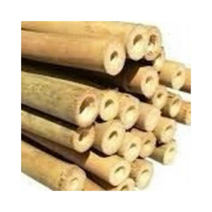 Bambúes Naturales Similares a Icon: Los Caules de Bambú Son Ecológicos y Sostenibles. - Product Image 1