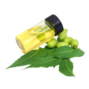 Reliable Neem Solvent Oil for Large <b>Scale</b> Manufacturing Cosmetic Use Herbal Blends and Commercial Bulk Supply Solutions - Product Image 1