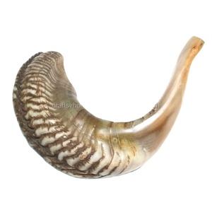 Vente chaude Naturel Décoré À La Main Corne De Bélier Shofar Facilement Disponible Offre Excitante Rosh Hashanah Corne De Kudu Yéménite - Product Image 6