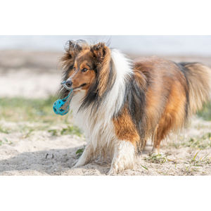 Pelota de nido de abeja con cuerda TPE 6 x 23 cm, juguete interactivo para mascotas - Product Image 5