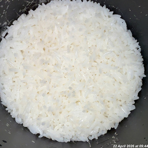 ข้าวขาวจัสมิน [เกรดเอ] |   29/5/2026 10:36 น. |   179/26 - Product Image 5