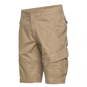 Custom Logo New Brand Summer Men's Quick Dry Cargo Shorts Customizable Logo Multi-pocket Cargo men's shorts - Product Image 2