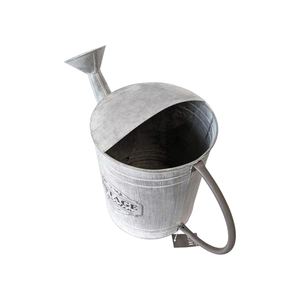 Regadera de Metal Galvanizado Vintage al por Mayor, Regadera de Jardín de Hierro de Estilo Antiguo Resistente para Plantas de Interior y Exterior - Product Image 3