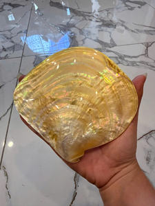 PLAT EN COQUILLE ARC-EN-CIEL POLI À LA MAIN JAUNE |   PIÈCE D'ART NATURELLE EXQUISITE |   Vaisselle haut de gamme écologique - Product Image 3