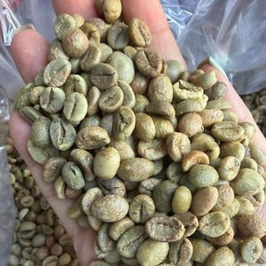 Café vert Robusta du Vietnam, taille 16, grains de café du Yunnan, café biologique, export en vrac, fournisseur de café commercial - Product Image 1