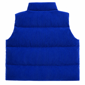 Chaleco acolchado transpirable personalizado de la hermandad Zeta Phi Beta con logotipo bordado en la parte delantera, chaleco sin mangas azul y blanco para mujer - Product Image 3