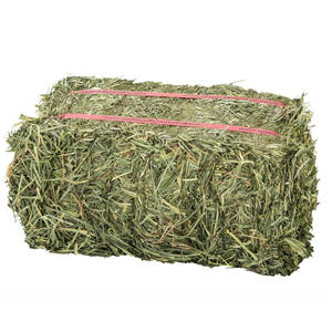 Heno de Timothy Cosechado con Cuidado, Forraje Verde para Conejos, Caballos, Alpacas y Animales Pequeños, Cantidad a Granel en Cada Envío - Product Image 3