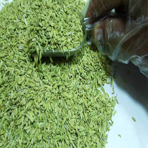 เมล็ดยี่หร่าอินเดียพรีเมียม ผลผลิตฤดูกาลใหม่ สำหรับผู้ซื้อขายส่ง การบรรจุใหม่สำหรับขายปลีก และห่วงโซ่อุปทานเครื่องเทศระดับโลก - Product Image 3