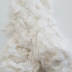 Fibre de Coton Peigné 100% Blanchi de Bonne Qualité pour le Filage – Meilleur Prix du Fabricant Vietnamien - Florence - Product Image 6