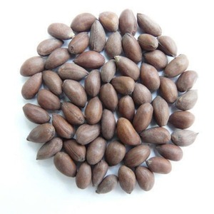 Approvisionnement agricole biologique premium en graines de coton pour l'extraction d'huile naturelle, emballage de qualité, commandes d'exportation en vrac dans le monde entier - Product Image 2