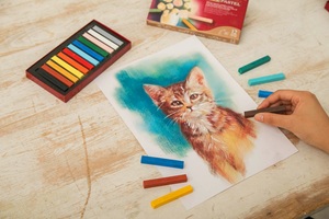 SIMBALION Juego de Pasteles Suaves de Alta Calidad, 24 Colores para Artistas Profesionales, Pasteles Premium de Taiwán para la Expresión Creativa - Product Image 2