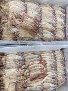 Premium Sun <b>Dried</b> bayby <b>Squid</b> Vietnam Supplier Direct Factory Wholesale Export Stable Supply For Global Seafood Buyers Importers - Product Image 5