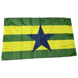 Drapeau rectangulaire personnalisé en polyester avec emblème harpe pour usage extérieur - Product Image 4