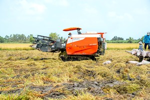 Cosechadora de Arroz de 108 HP Kubota DC-108X con Orugas de Goma, Máquina Diésel para Cosechar Granos, Ideal para Campos de Arroz Grandes y Uso en Zonas Húmedas - Product Image 6