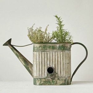 Arrosoir en métal design, au look attrayant, idéal pour la décoration intérieure, le jardinage et comme cadeau pour les amateurs de plantes. - Product Image 3