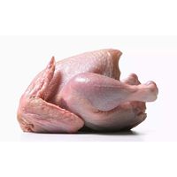 Poulet entier congelé Halal BQF en gros pour l'exportation, viande de volaille éviscérée et nettoyée