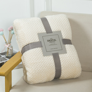 Wholesale Custom Logo Soft Flannel Fleece Blanket Cozy Polyester Throw Blanket for <b>Sofa</b> Bed Winter Home Hotel Gift Use - Product Image 1