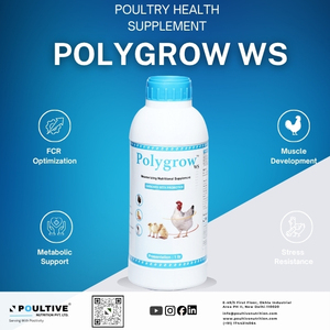 Líquido Multivitamínico para Aves de Corral |   Multivitaminas + Multiminerales + Aminoácidos + Ácidos Orgánicos + Electrolitos + Probióticos - Product Image 3