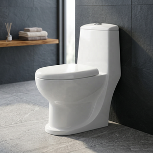 Ceramic One Piece Washdown Toilet Dual Flush Siphon Commode WC Sanitary Ware Modern Design Bathroom - Product Image 5