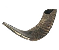 Ram Shofar Hébreu Trompette Coup de Corne Juif Casher Terre Sainte Israël par gm impex