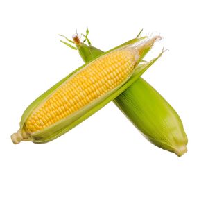Suministro Premium de Alimentos Secos para Exportación: Maíz Glutinoso Seco al Aire, Selección de Grano Dulce Natural para Demanda de Empaque a Granel - Product Image 2