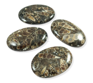 Natural Turritella Agate Gemstone Customize Size Loose Precious Turritella Agate Cabochon Mix Shape Loose Cabochon - Product Image 3