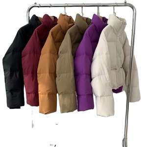 Veste bouffante d'hiver 2025 pour femmes, manches longues, col montant, fermeture à glissière. High Street Style Baggy Manteau court Poches à motifs - Product Image 1