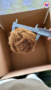 AVAILABLE Custom Logo Coir Chew Ball Coconut Fiber Pet Toy Non-Toxic Husk Sphere For All Pets Teeth Cleaning Playing Training - Product Image 5