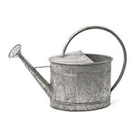 Arrosoir en métal pour jardinage, finition galvanisée durable, couleur vert lime, bec long, acier inoxydable, capacité 1,5 L