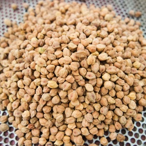 Suministro al por Mayor de Garbanzos Kabuli, Mejor Precio al por Mayor, Entrega Rápida, Calidad Alimentaria, Compre Ahora en Oferta - Product Image 1