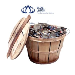 HOT SELLING Sustainable Vintage <b>Circle</b> Wooden Crab Bushel Basket Waterproof Eco Friendly Large Quantity From Vietnam - Product Image 1